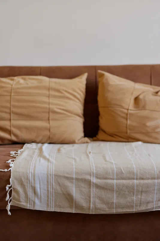 Sofa setup in a warm living room, beige cushions and a soft throw create a calm, cozy ambiance, natural light highlights comfortable home style and peaceful relaxation