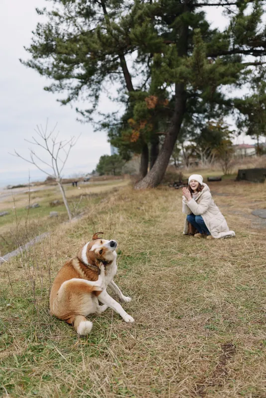 Dog resting on grass as a woman crouches with a camera in a park, capturing a candid moment amid trees and open space, wearing winter attire for a warm outdoor portrait.