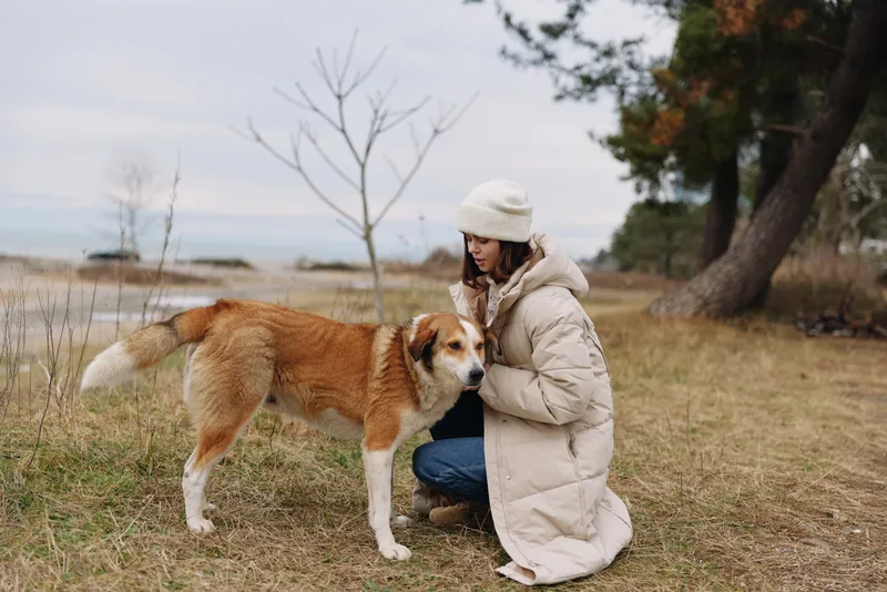 Woman in a warm beige coat kneels beside a friendly brown and white dog in a breezy park by a lake, sharing a quiet moment of companionship and nature during late autumn light.