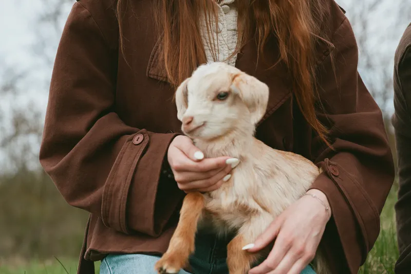 Woman in a brown coat holds a curious goat kid outdoors, capturing a warm moment of care, companionship, and rural charm in a rustic countryside setting.