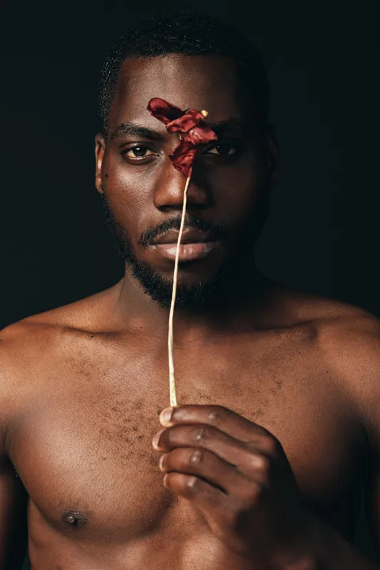 Creative portrait of dark skinned African American man holding dried red flower in front of face with serious expression in artistic visual design style on black background.