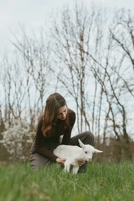 A woman gently pets a white goat kid in a sunlit meadow, capturing a calm countryside lifestyle moment with bond between caregiver and animal reflecting harmony, simplicity, and affection.