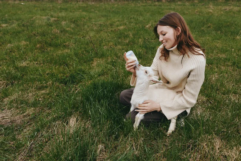 Caring woman feeds a young goat with a bottle in a grassy field, capturing a warm lifestyle moment outdoors with tenderness, companionship, and rustic charm. Bright natural light highlights gentle
