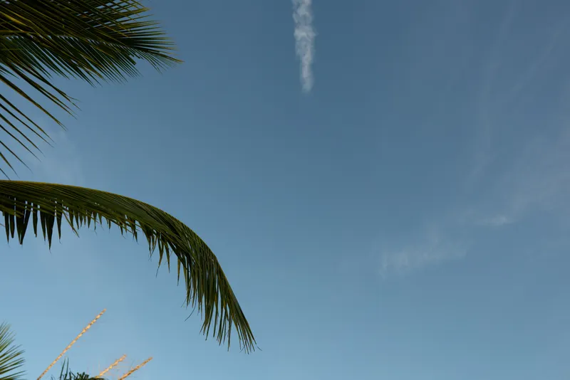 Blue sky with a few white clouds and a palm tree branch on the left side. Bright sunny day with tropical atmosphere and clear weather concept for summer and nature.