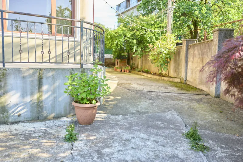 Outdoor garden scene with concrete steps and a potted plant, sunlit atmosphere, calm urban setting, soft breeze, lush greenery, relaxed lifestyle mood, inviting composition