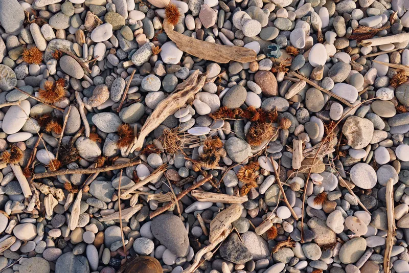 pebbles, stones and small twigs create a natural ground texture with earthy tones and smooth surfaces, close-up shot highlighting rough sand, rounded shapes and organic pattern for nature photography