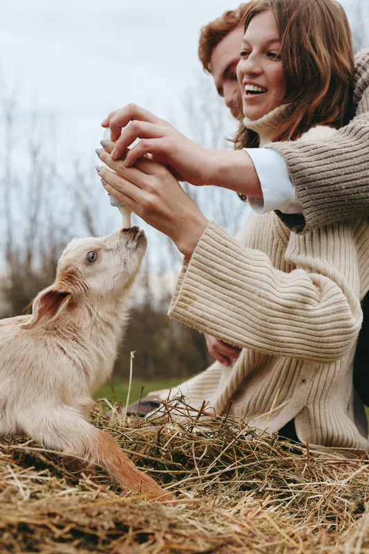 Cheerful woman outdoors feeds a playful goat kid with a bottle, warm knit sweater, candid moment, natural light, rustic setting, everyday joy, gentle interaction, wholesome lifestyle