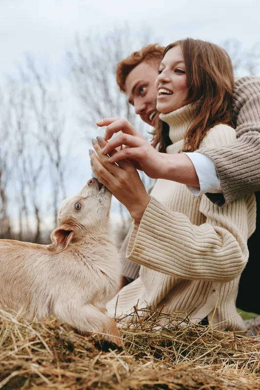 Young couple in cozy sweaters play with a curious baby goat outdoors in a natural setting during autumn, sharing a joyful and intimate lifestyle moment together.