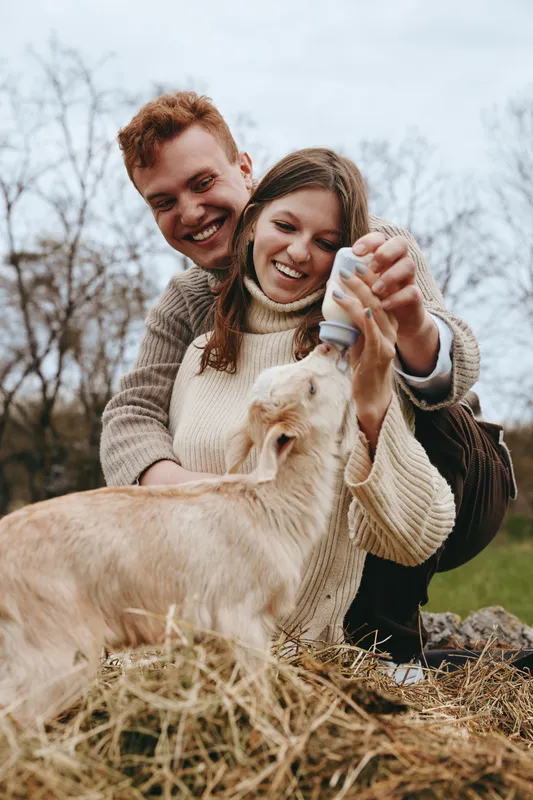 A young couple happily feeds a baby goat outdoors in a rustic setting during autumn, sharing a joyful moment in casual warm sweaters with natural lifestyle vibes.