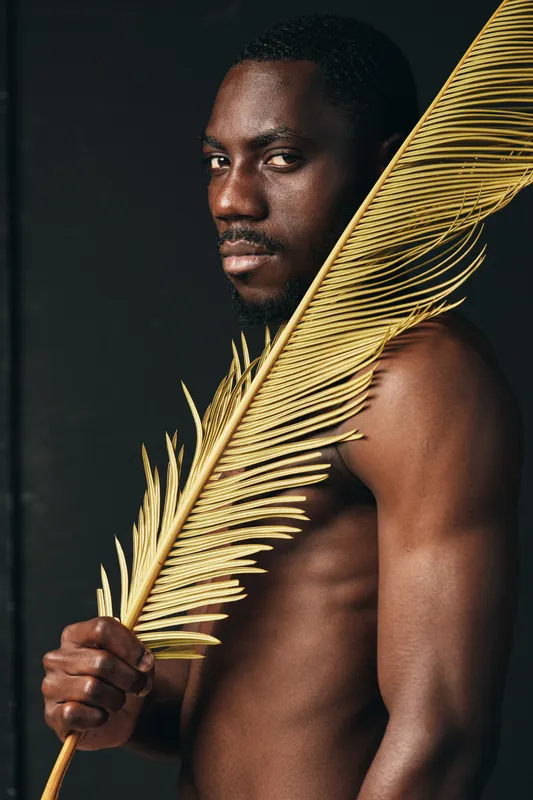 African man with dark skin holding large golden palm leaf in creative conceptual visual style. Portrait of shirtless male with serious expression on black background in studio lighting.