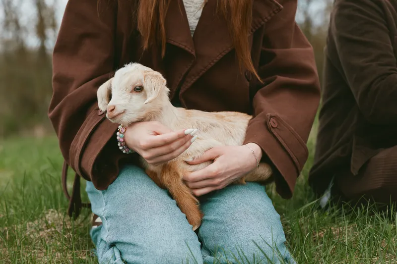 Young woman in brown coat gently holds a small goat kid on her lap while sitting outdoors on green grass in a natural lifestyle setting.
