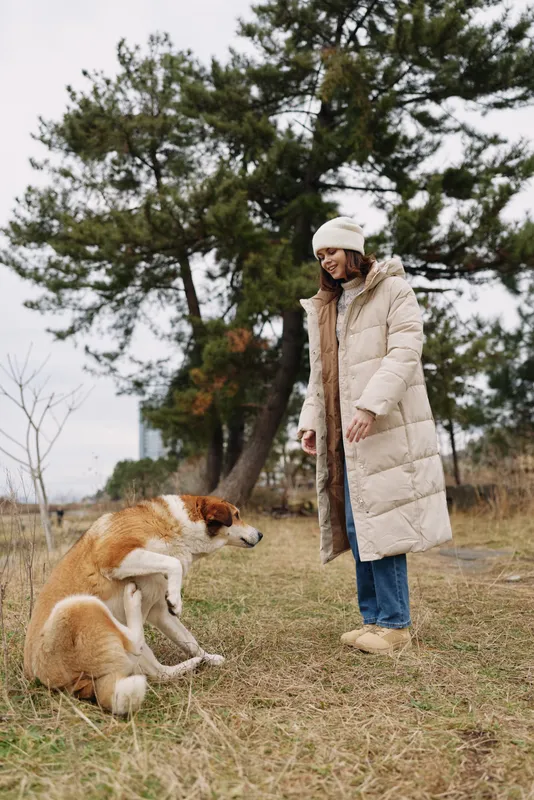 Woman in a warm beige coat and beanie interacts with a calm dog in a park on a chilly day, showcasing outdoor companionship and nature.