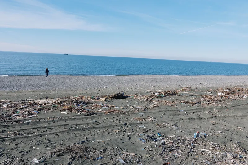 Beach scene with litter along the shore and calm sea, a lone person walking near the water, highlighting environmental pollution, plastic debris and impact on coastal ecosystems