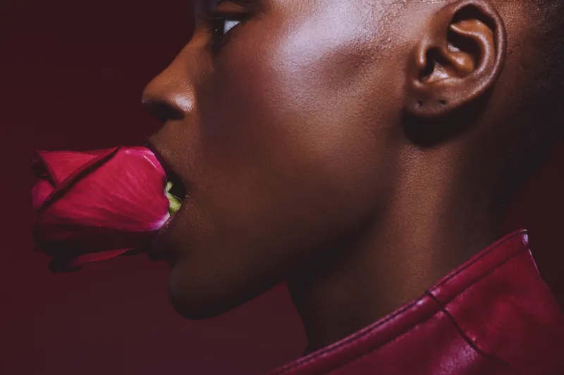 Close-up profile of a dark skinned African woman holding a red rose in her mouth against a dark red background. Concept of beauty, elegance, floral, and creative portrait in studio lighting.