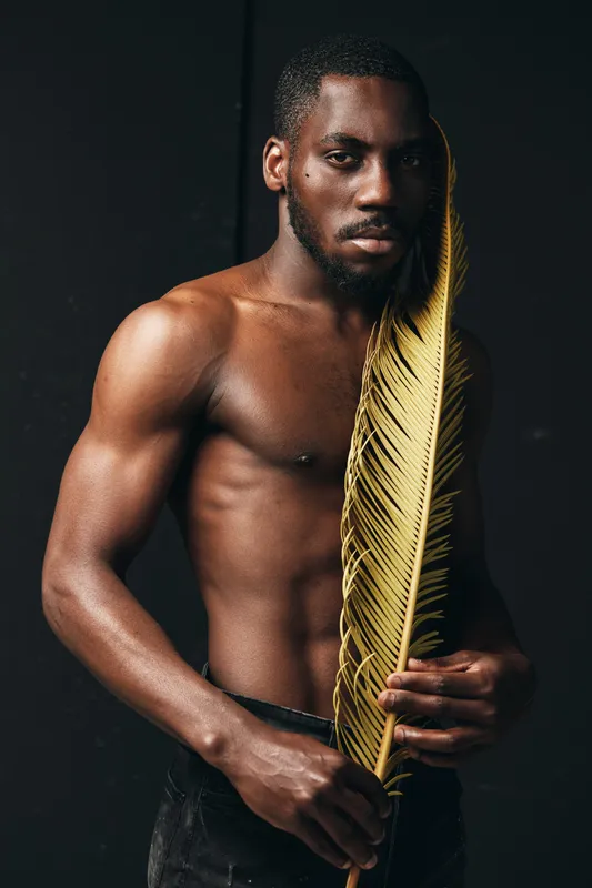 African man with muscular body holding golden palm leaf in creative conceptual visual style, shirtless male model posing against dark background for artistic portrait.