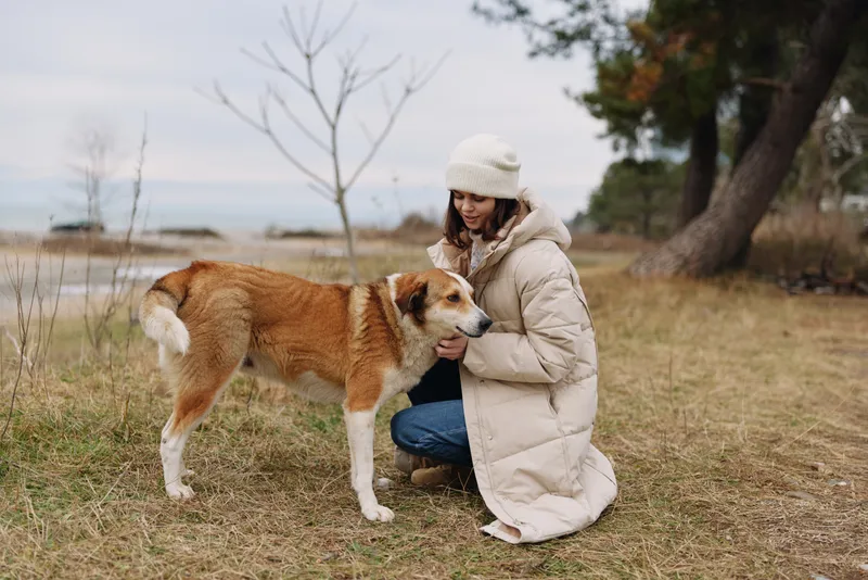 Dog and woman share a gentle moment outdoors in a tranquil park by a lake, kneeling in a cozy coat, offering comfort and companionship to the friendly canine during autumn, cold air around them