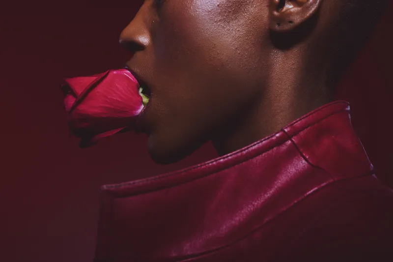 Closeup of dark skinned African woman holding red rose in mouth wearing red leather jacket. Concept of beauty, fashion, passion, and elegance in studio with dark red background.