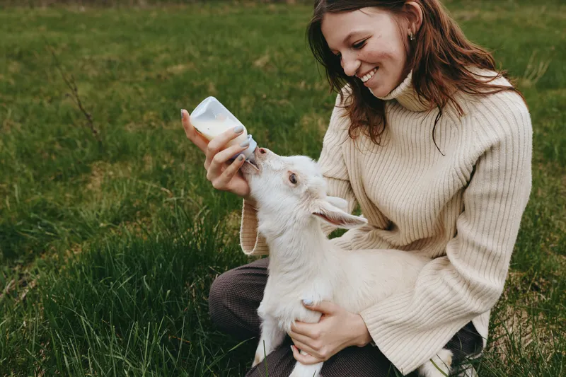 Lifestyle scene of a woman in a knit sweater feeding a goat kid outdoors, smiling as she holds a bottle, standing on green grass beside a field, capturing calm companionship in nature.