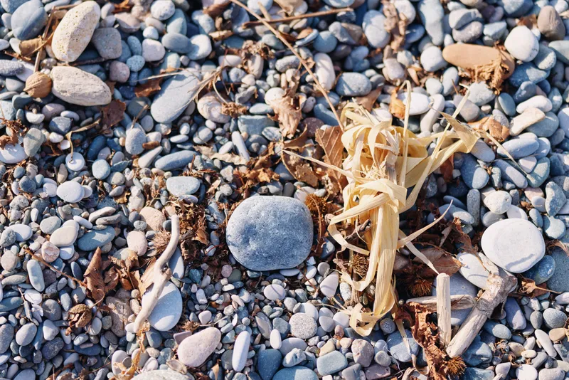 Closeup of a beach shoreline with small pebbles, smooth stones, and a dried seaweed strand among gravel and sand, capturing natural textures and coastal atmosphere.