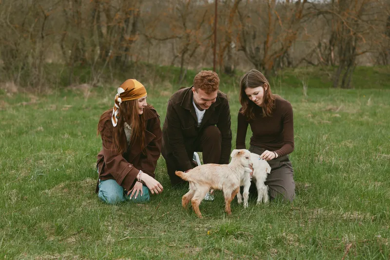 A warm outdoor family moment in a grassy park shows two adults and a young woman bending toward two small dogs, sharing smiles and gentle interaction. A lifestyle scene highlighting companionship,