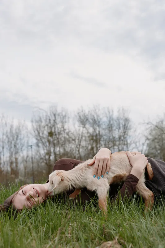 Young woman lies on grass smiling as she hugs a playful baby goat in an outdoor natural setting during a calm spring day.