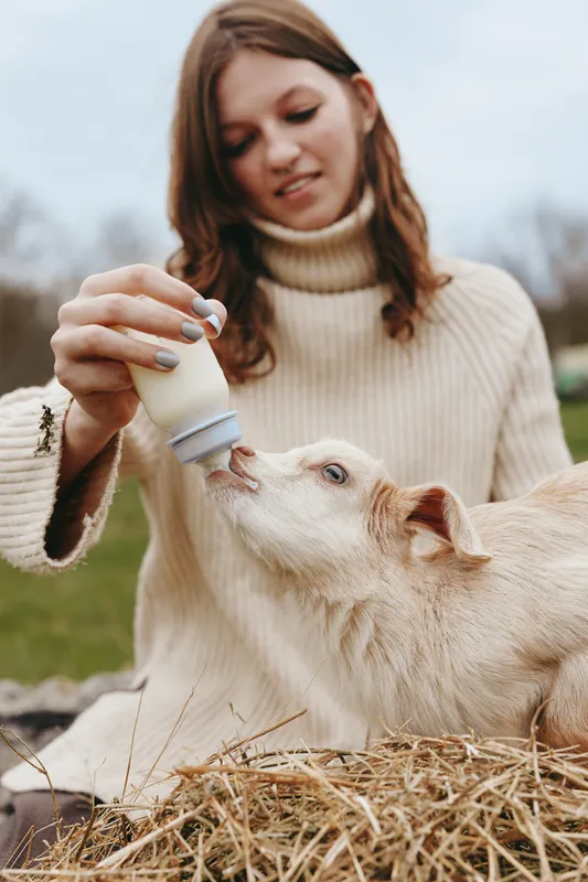 Young woman in a cream sweater feeds a goat kid with a bottle outdoors, showcasing lifestyle and animal care in a rustic setting, with soft light and straw creating a warm, wholesome mood.