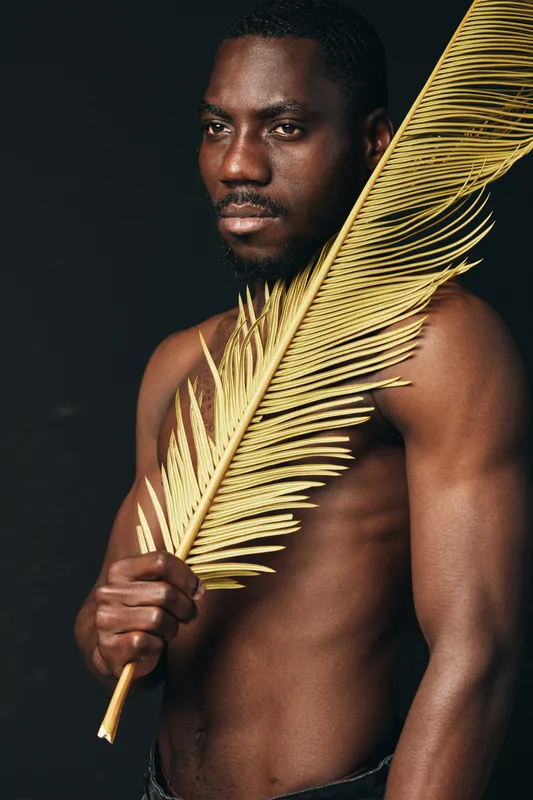 Black man with dark skin holding large golden palm leaf in creative conceptual visual style. African ethnicity, shirtless male portrait with artistic lighting on black background for modern art.