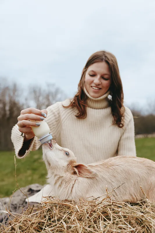 Lifestyle scene of a woman feeding a goat kid bottle outdoors in a sunny field, calm moment, soft breeze, nature colors, straw foreground, serene countryside backdrop