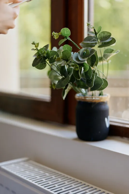 A woman reaches toward a green houseplant on a sunlit windowsill, creating a calm, cozy home moment that conveys subtle care, daily routine, and quiet contentment.