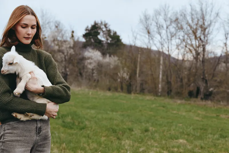 Goat kid is cradled by a woman outdoors in a grassy field, wearing a green knit sweater. A lifestyle moment of nature, animals, care, and gentle bond in calm warm light.