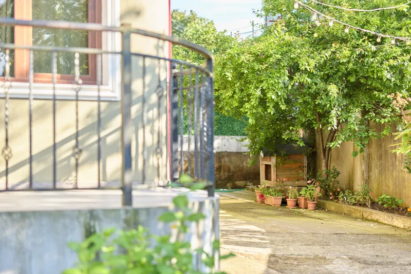 A calm morning on a sunny porch overlooking a small garden, greenery framing a cozy home. A peaceful scene for everyday relaxation and simple outdoor living