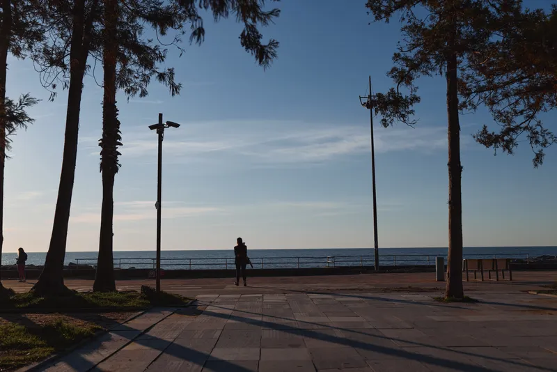 Silhouetted person stands near the seaside promenade at sunset with tall palm trees framing the scene and calm ocean waters in the background.