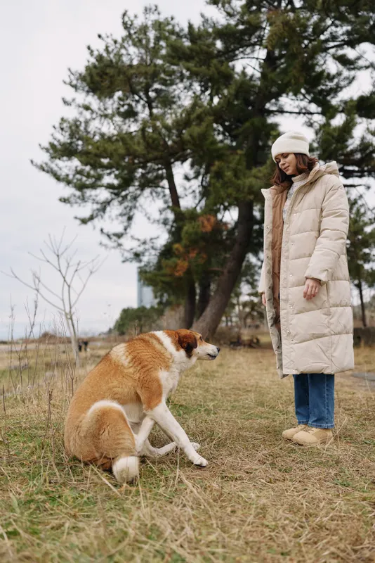 Woman in a beige winter coat interacts with a dog in an outdoor park, trees in the background, capturing a calm moment of nature and outdoor companionship.