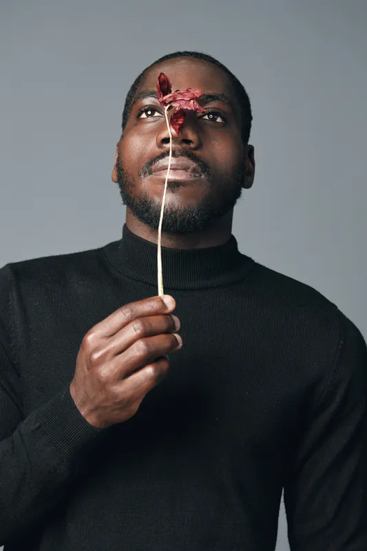African man with dark skin wearing black sweater holding dried red leaf in creative conceptual visual style portrait with serious expression on gray background.