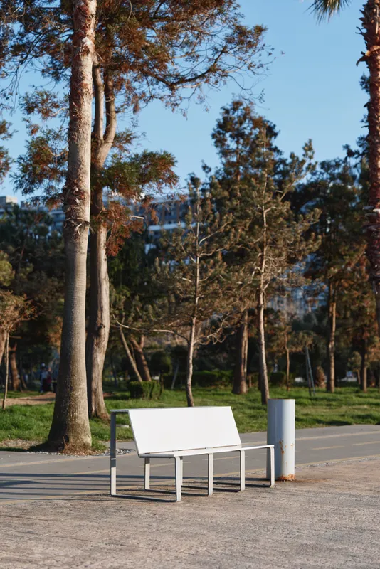 White bench in a sunlit park, surrounded by tall trees, creating a calm outdoor moment with natural colors and open space, a serene urban nature scene, bright atmosphere
