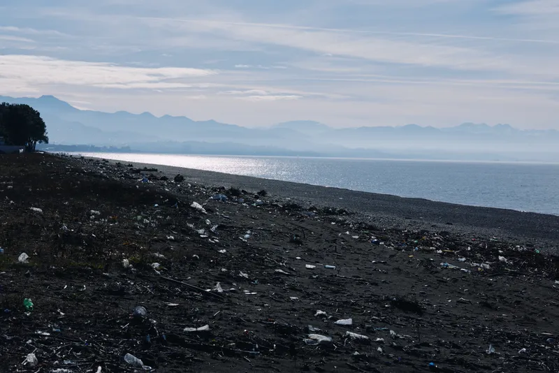 Beach shoreline with dark pebbles and scattered debris along the coast, calm water and distant mountains on the horizon, a moody natural seascape with soft light.