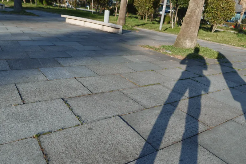 Shadows of two pedestrians on sunlit park pavement, silhouettes on the ground, outdoor daytime moment, calm park scene with trees and soft shadows on tiles