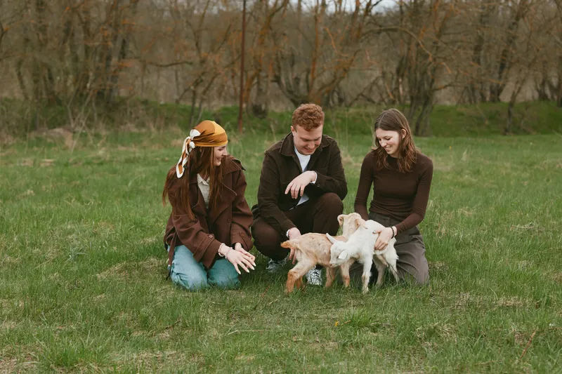 Outdoor lifestyle scene with three people in a grassy meadow, interacting with playful goat kids, warm sunlight, candid smiles, casual clothing, natural colors, peaceful countryside ambiance