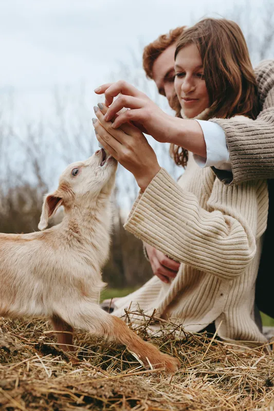 Young woman and man play with a baby goat outdoors in a natural setting wearing warm sweaters, creating a cozy and joyful lifestyle moment in autumn.