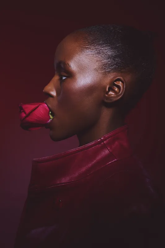 Profile of a dark skinned African woman holding a red rose in her mouth against a dark red background. Concept for beauty, elegance, passion, and floral symbolism in portrait photography.