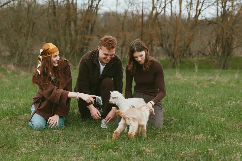 goat, kid, outdoors, friends, playful moment among a trio of people in a sunlit field with a young goat, capturing a warm lifestyle scene full of laughter and gentle interaction