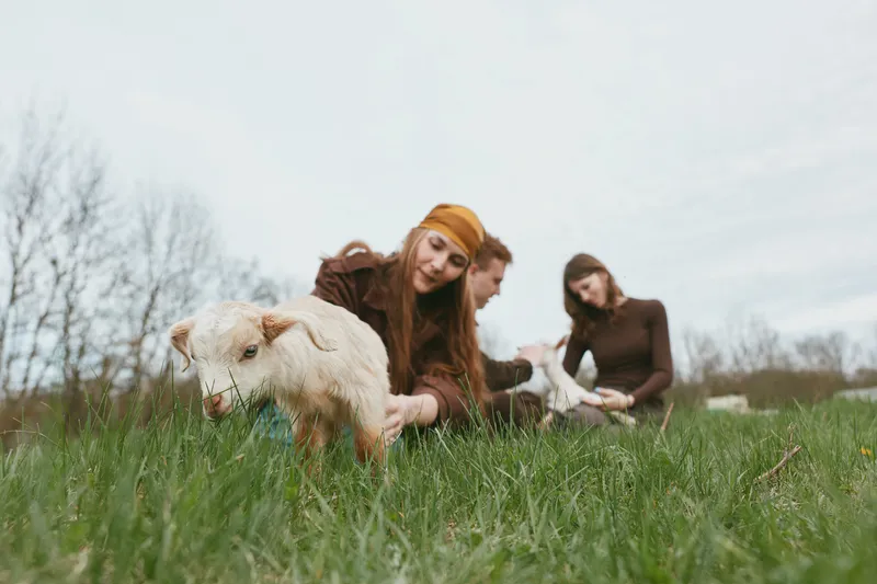 Smiling woman and two friends in a grassy field with goat kid, outdoor lifestyle moment, playful bonding with animals, warm natural light, candid scene of joy and care and tenderness now