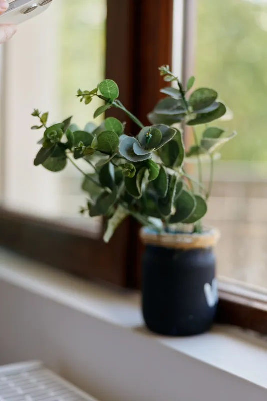 Close up of a leafy plant in a dark pot on a bright windowsill, showcasing home greenery and calm indoor mood. Lifestyle scene emphasizing nature, decor, and self care.