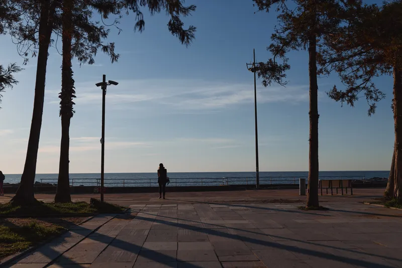 A lone figure stands on a seaside promenade at sunset, framed by tall trees and a long view of the calm ocean, suggesting quiet reflection and solitude for a photo study.