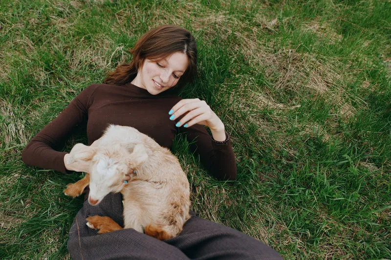 goat, kid, woman, outdoors lifestyle moment shows a goat kid cuddled with a smiling woman on green grass, a warm sweater and relaxed atmosphere, celebrating companionship with nature and pet animal
