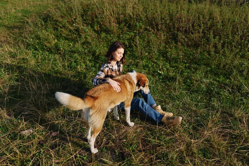 Woman sitting in a grassy field with a dog, enjoying outdoor companionship and a serene moment. Casual clothing, relaxed posture, warm sunlight, nature setting for leisure and bonding.