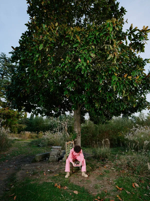 Person in pink clothing under a large tree in a garden, outdoors, picking leaves from the ground and observing nature in a peaceful yard setting during a calm afternoon.