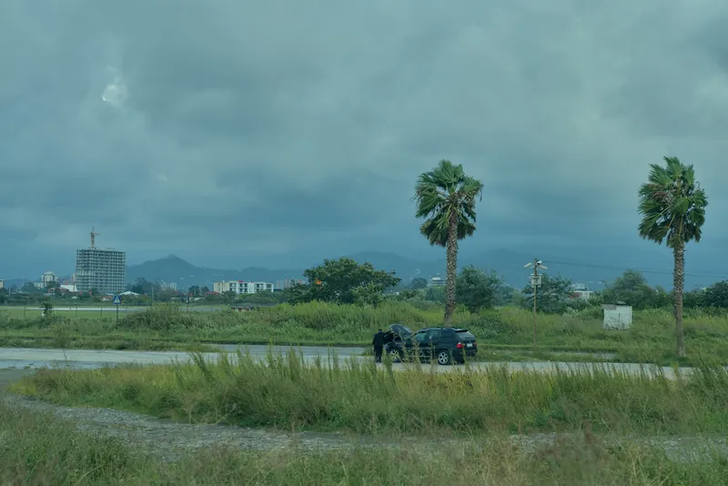 Landscape of a rural field with palm trees, a car on a road, distant buildings and a cloudy sky, highlighting open space, greenery, and a calm, expansive atmosphere