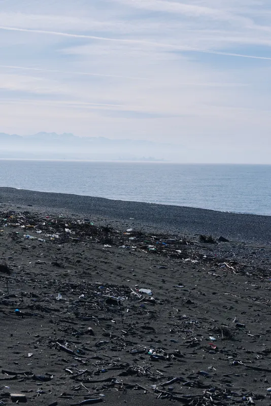 Dark sand beach meets calm sea at the horizon, with scattered rocks, driftwood and debris along the shore under a pale blue sky.