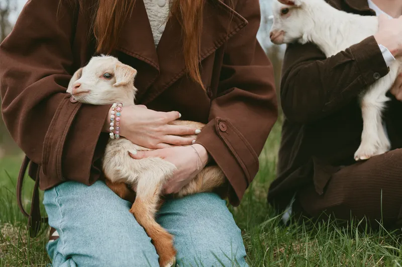 Two people in brown coats gently hold baby goats while sitting on grass in a natural outdoor setting, capturing a calm and tender lifestyle moment with cozy clothing details.